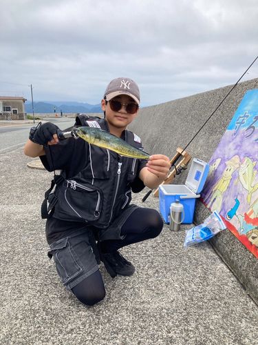 シイラの釣果
