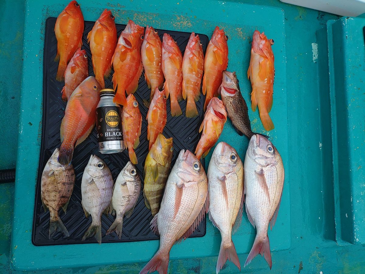 ヒサマルさんの釣果 1枚目の画像