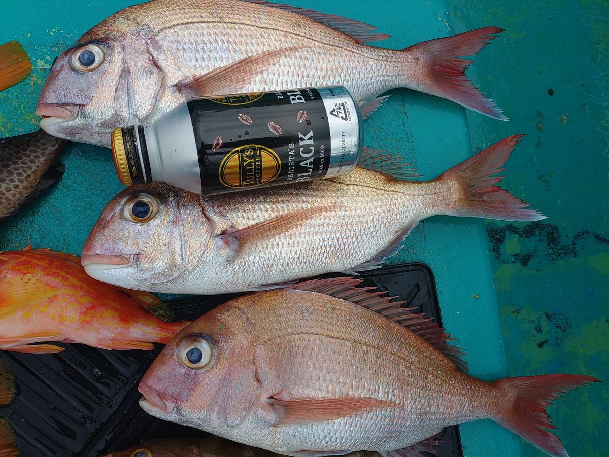 ヒサマルさんの釣果 2枚目の画像