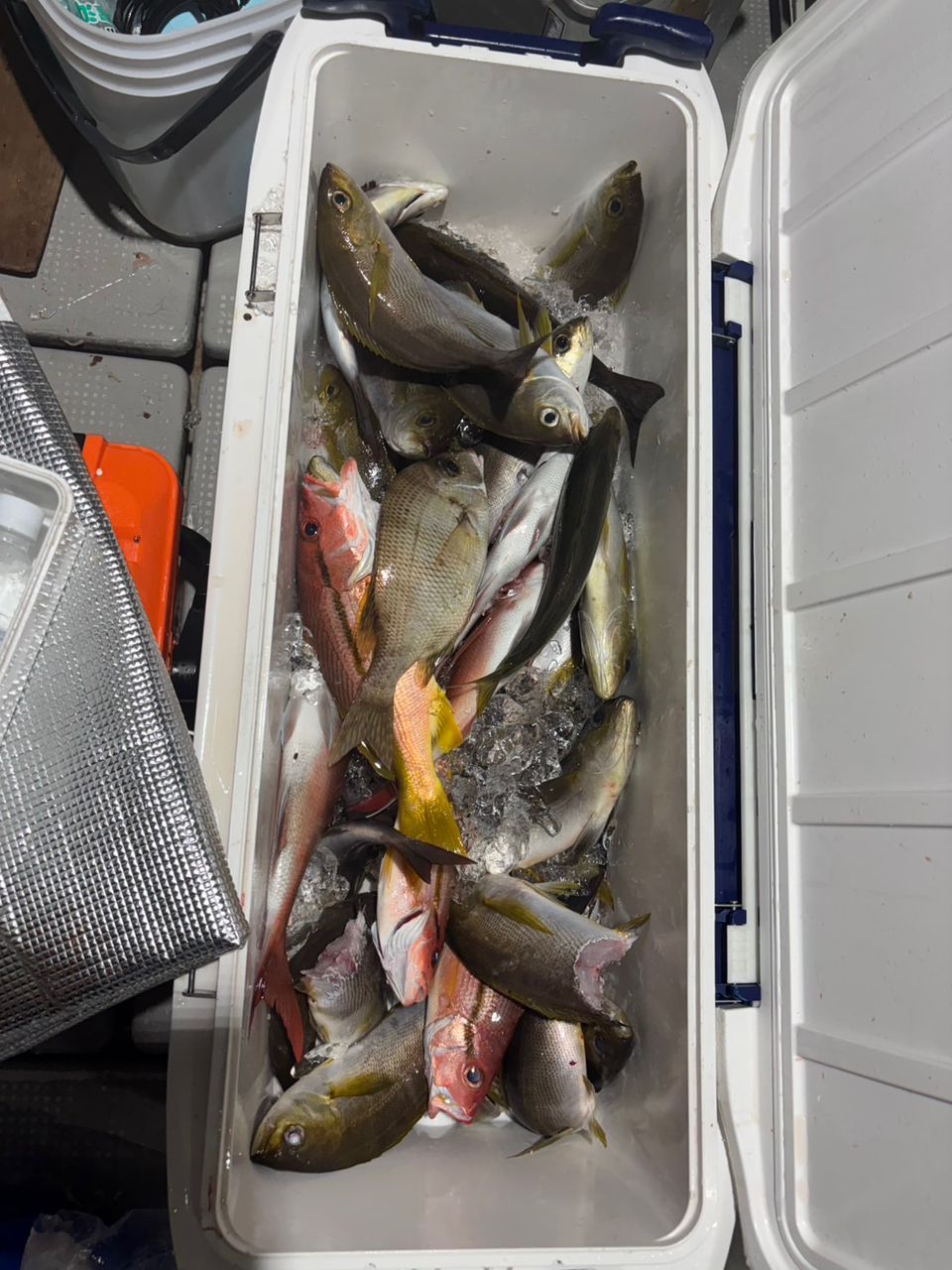 田畑良朗@なつき丸さんの釣果 3枚目の画像