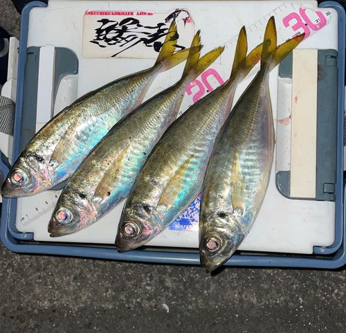 片上一文字