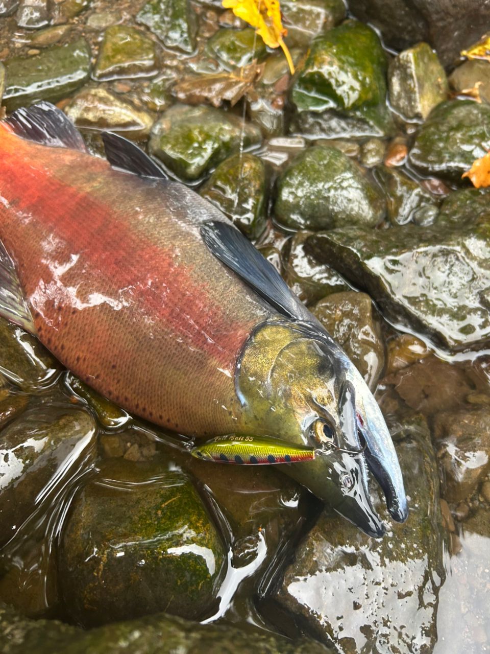 Megabass グレートハンティング GH84-2MLSの最安値・インプレ・釣果