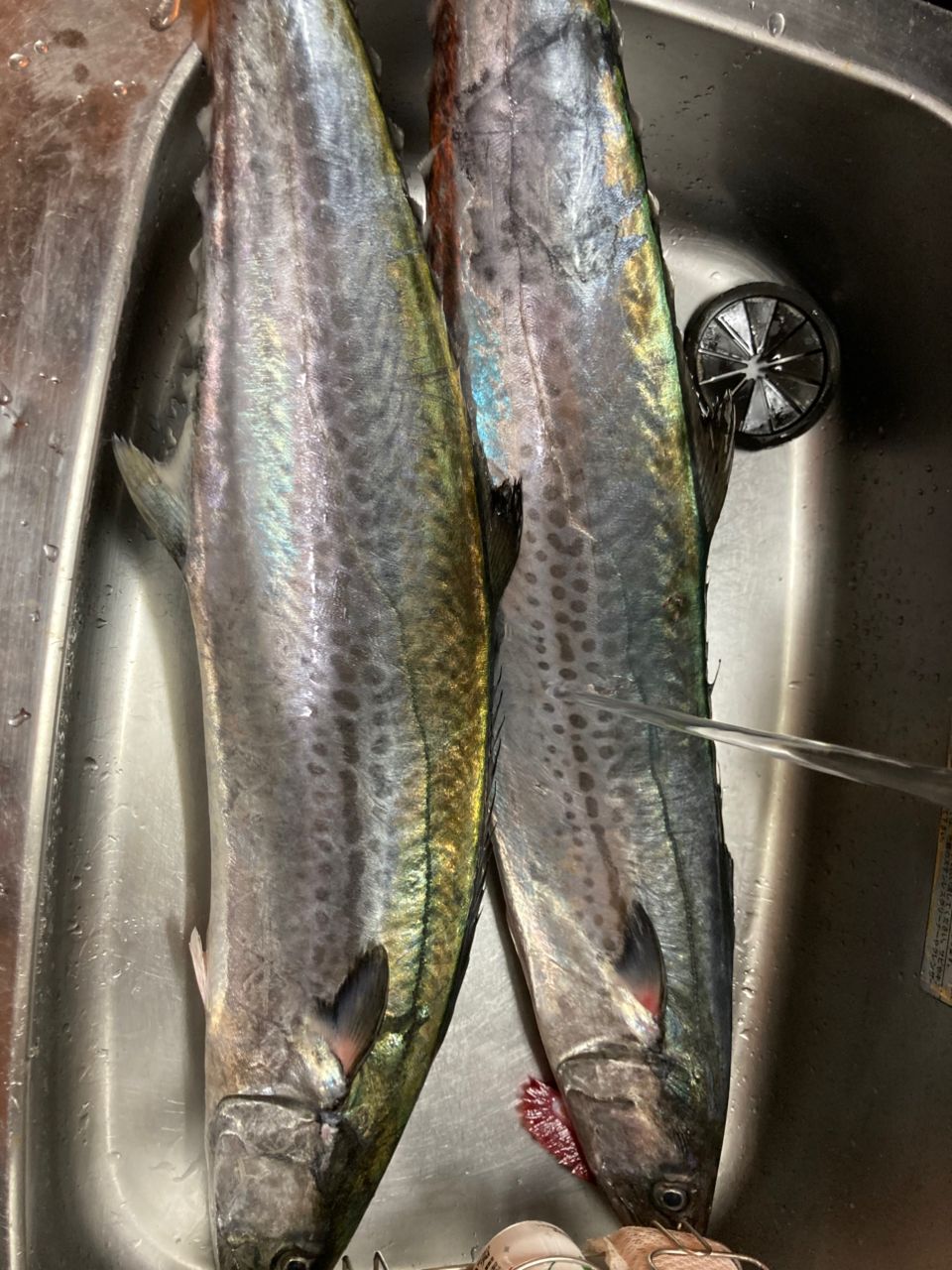 Jackson ジェスター JSS-701XMH-SPの最安値・インプレ・釣果