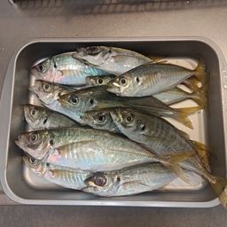 アジ