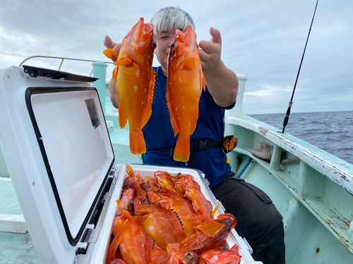アカハタの釣果