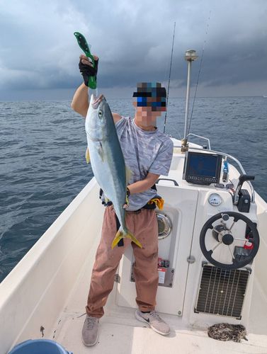 ブリの釣果