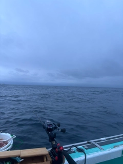 メイチダイの釣果