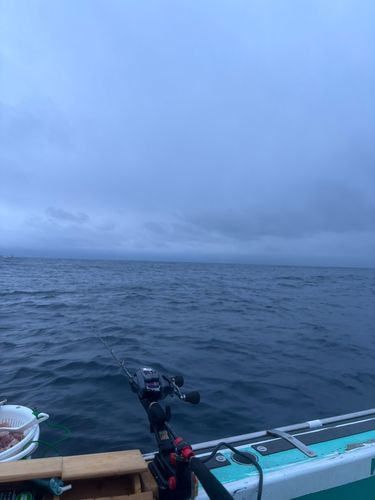 相模湾東