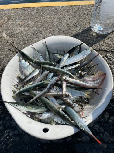 広島湾
