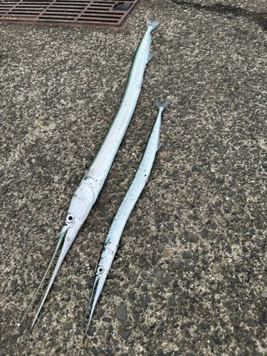 鞠山海遊パーク