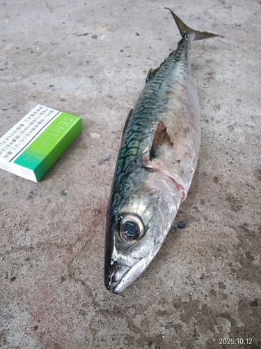 道央地方