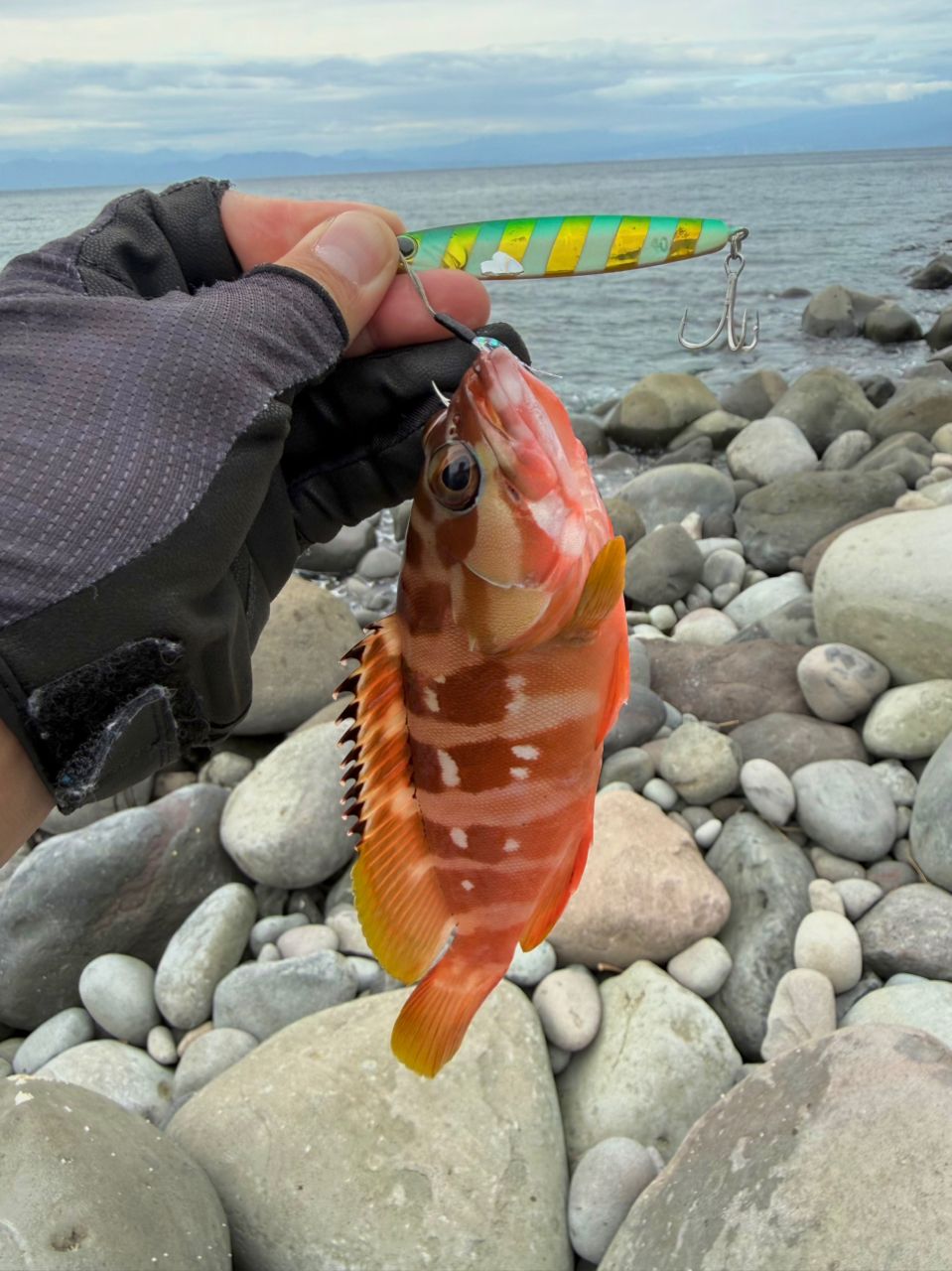 DAIWA 21ラブラックス AGS 100Mの最安値・インプレ・釣果 | 本音