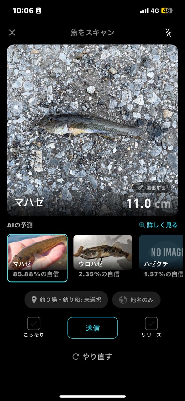 ウロハゼ