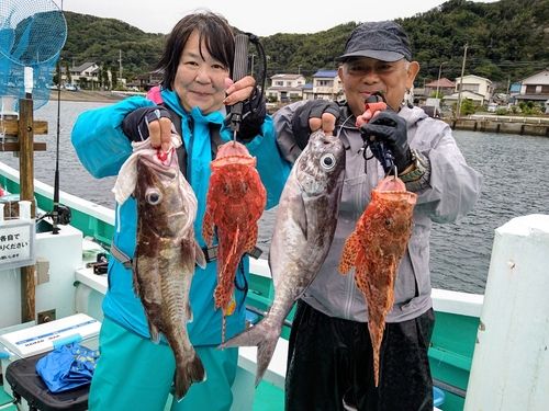 オニカサゴの釣果