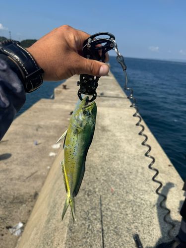 舘浦漁港