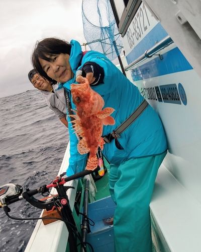 オニカサゴの釣果