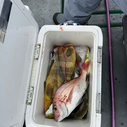 タイ