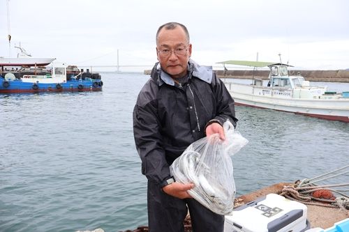タチウオの釣果