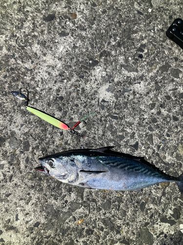 垂水新港