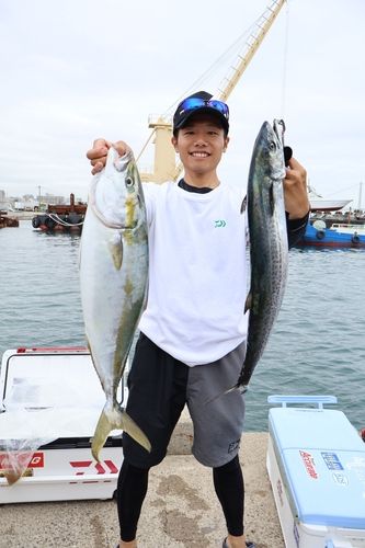 メジロの釣果