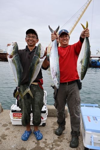 メジロの釣果