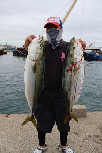 メジロの釣果