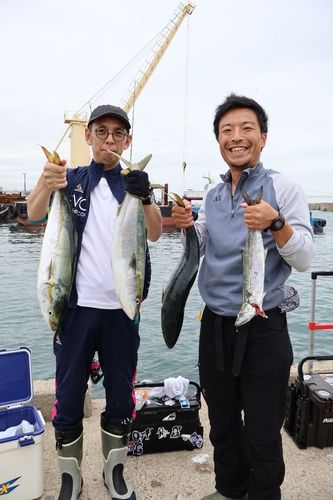 サワラの釣果