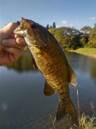 長野県北部