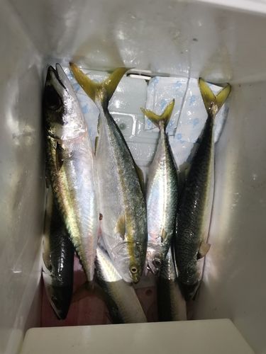 潮瀬崎