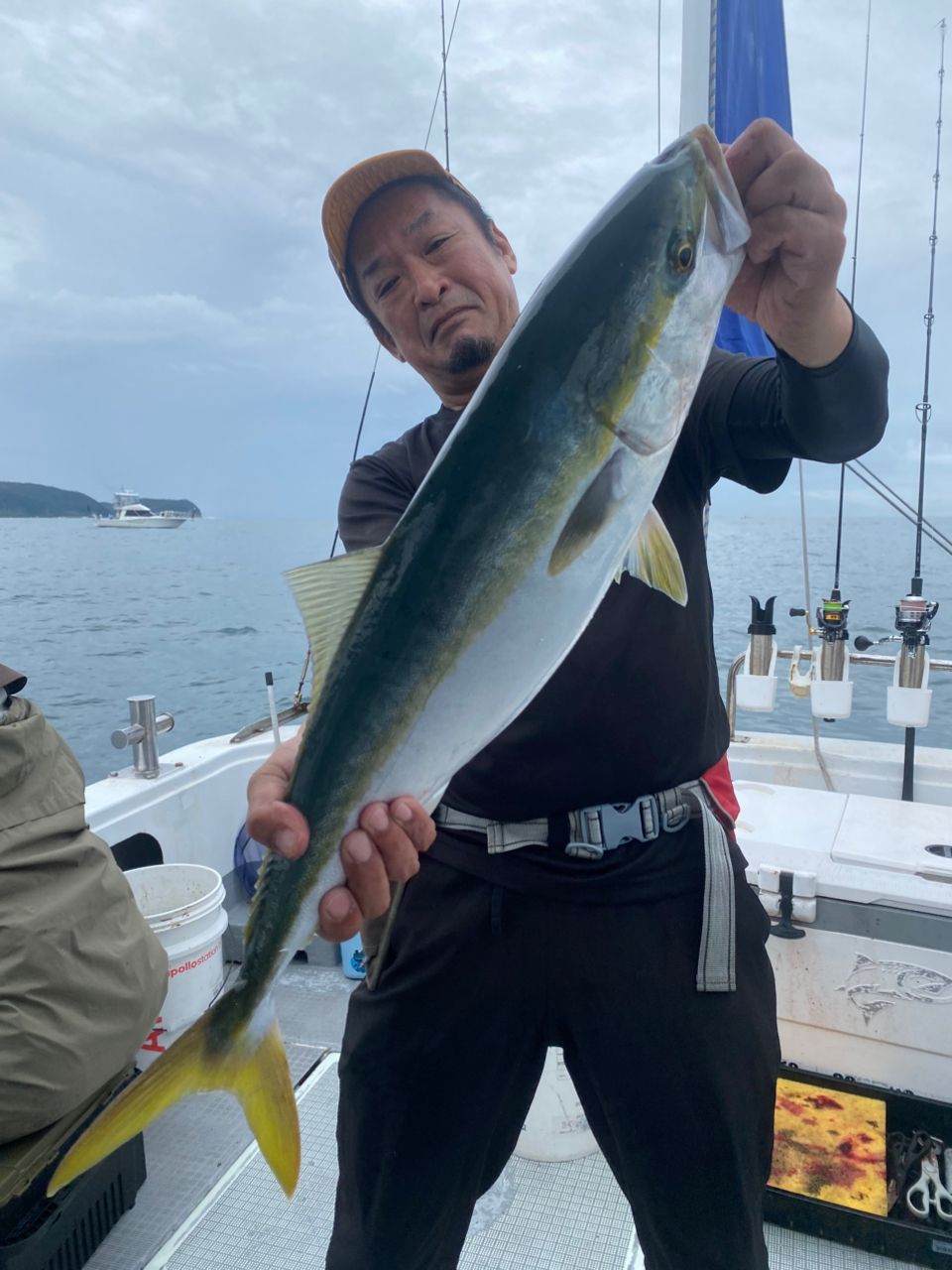 ハマチ