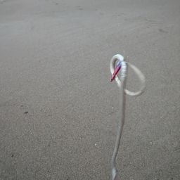 ダイナンウミヘビ