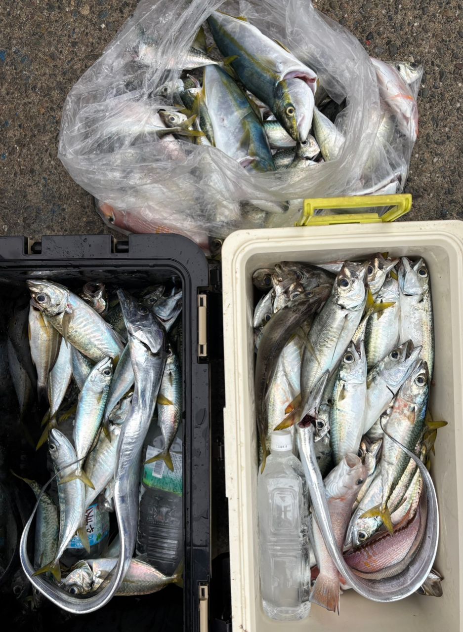 たけちゃんまる　船長さんの釣果 1枚目の画像