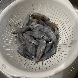 イカ