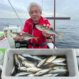 マアジ