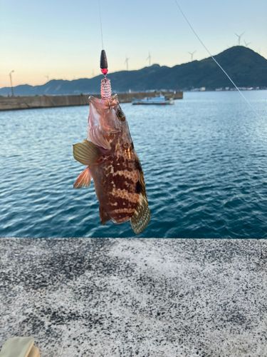 河下港