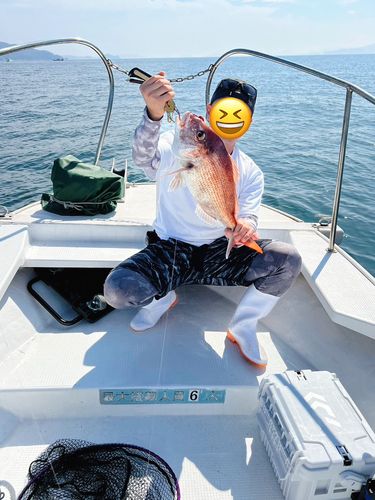 マダイの釣果