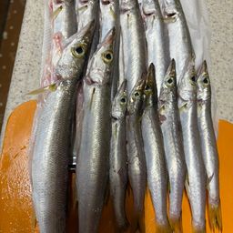 カマス