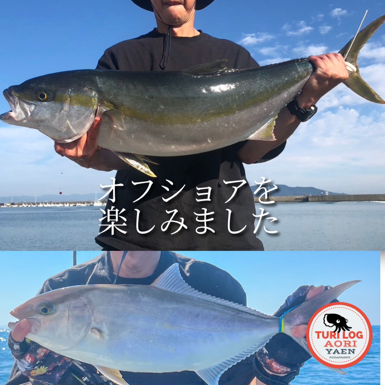 ヒラマサ