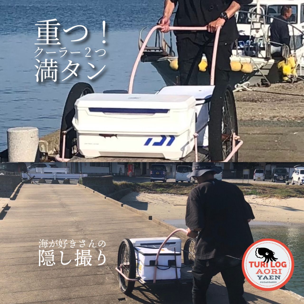 ヒラマサ
