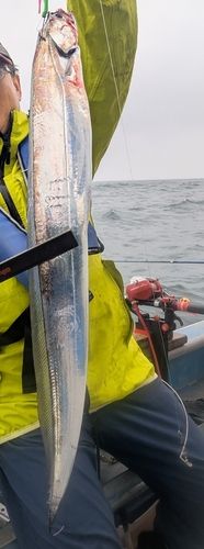 タチウオの釣果