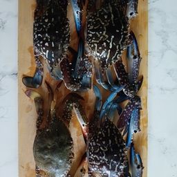 タイワンガザミ
