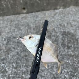 メッキ