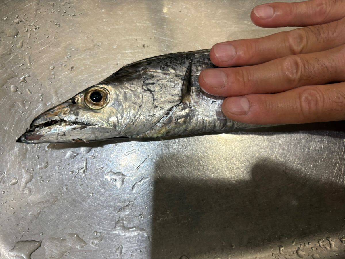 ジン太郎さんの釣果 2枚目の画像