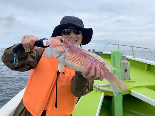 アマダイの釣果