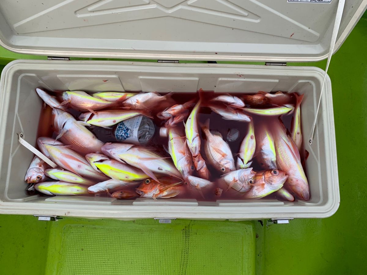 村本海事さんの釣果 3枚目の画像