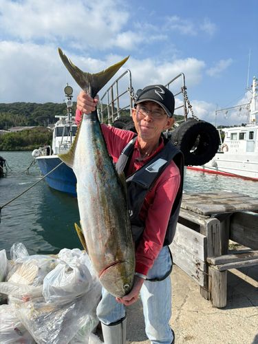 ヒラマサの釣果