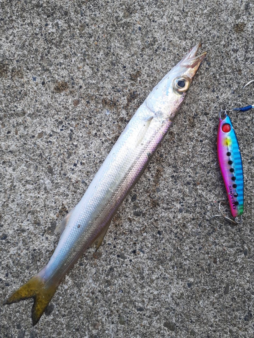 アピア　グランデージ90ml インプレ】アピアのグランデージがめっちゃ良い竿だった！使った