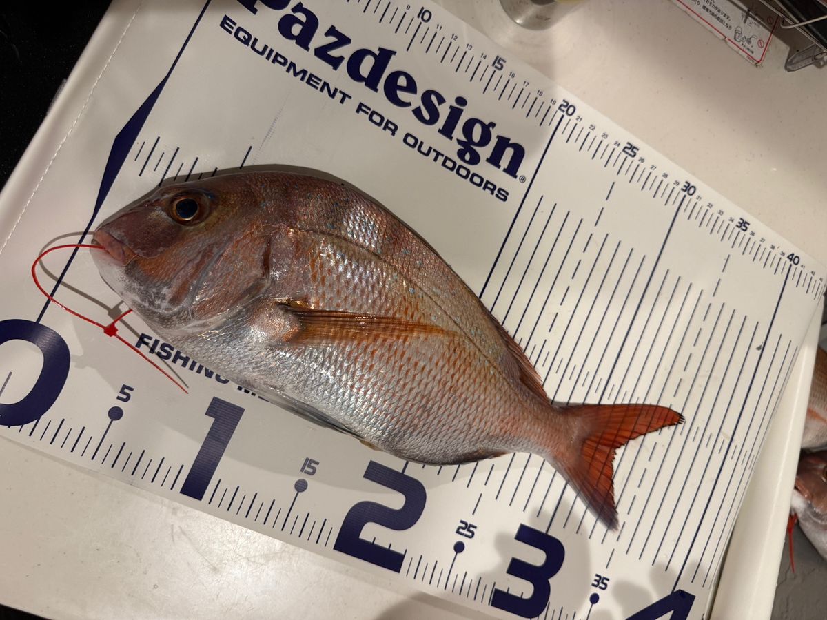 k1mrwoooonderさんの釣果 2枚目の画像