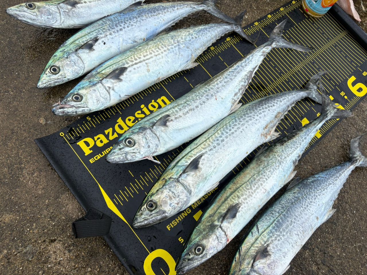 SHIMANO 20コルトスナイパー XR S96MHの最安値・インプレ・釣果