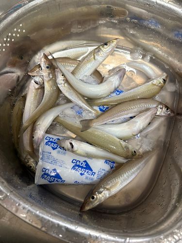 燧灘